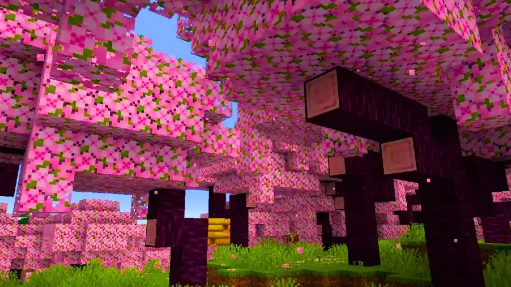 How to Get Cherry Blossoms in Minecraft